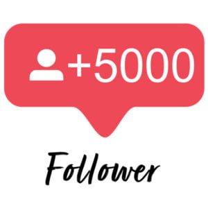 Como conseguir mais seguidores no Instagram?